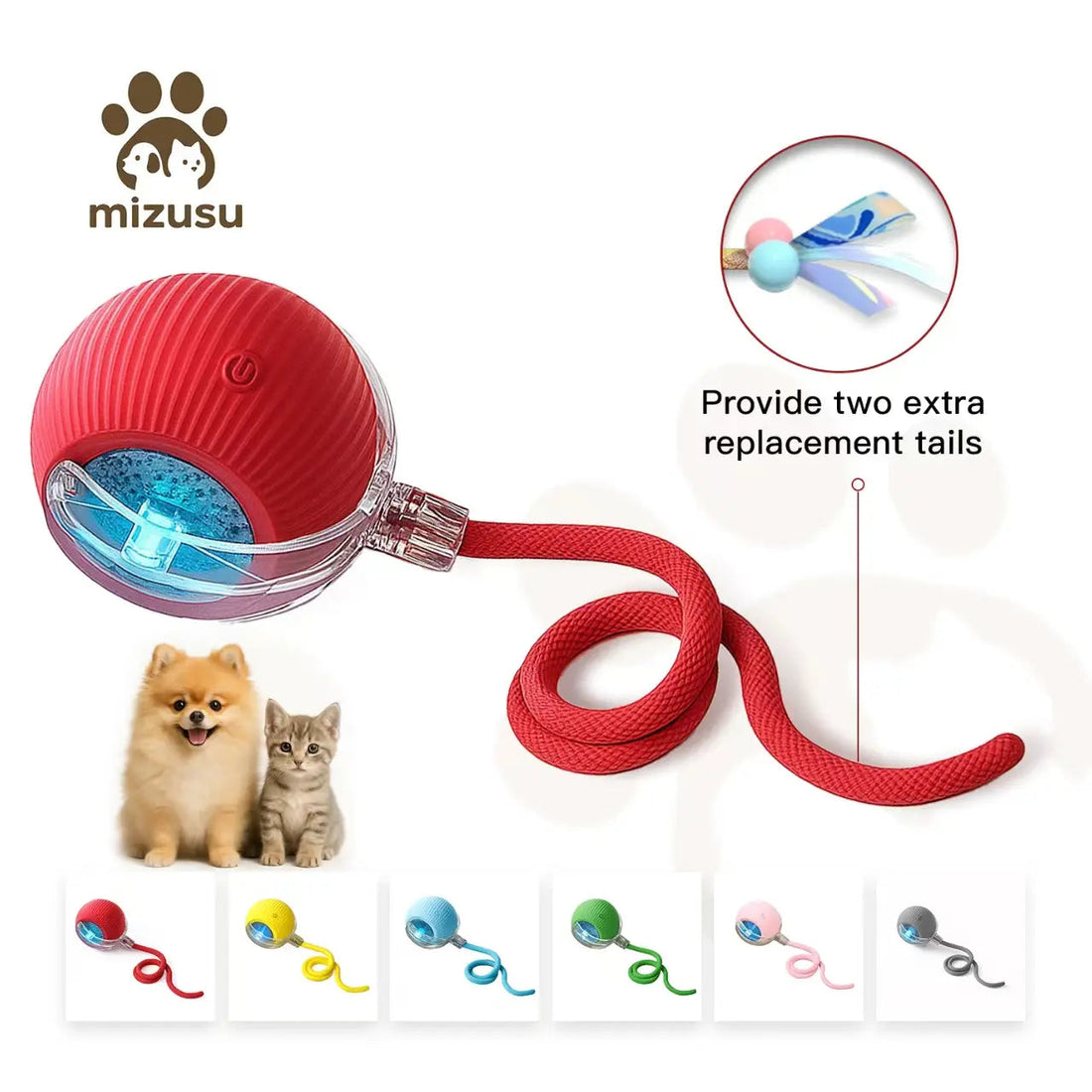 PET TOY & FEED