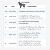 Dog Friendly Co. Harness - Easy to Fit No-Pull Design - Safe Secure and Comfortable - Ideal for All Dogs - Chafe-Resistant Lightweight Straps - Adjustable Straps for Perfect Fit
