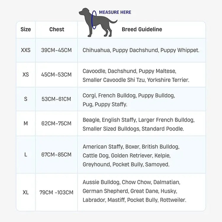 Dog Friendly Co. Harness - Easy to Fit No-Pull Design - Safe Secure and Comfortable - Ideal for All Dogs - Chafe-Resistant Lightweight Straps - Adjustable Straps for Perfect Fit