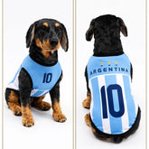 Pet Soccer Jersey Outfit - Cute Game Day Pet Shirt for Small, Medium Dogs & Cats Clothes Fashionable Clothing