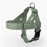 Dog Friendly Co. Harness - Easy to Fit No-Pull Design - Safe Secure and Comfortable - Ideal for All Dogs - Chafe-Resistant Lightweight Straps - Adjustable Straps for Perfect Fit