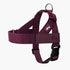 Dog Friendly Co. Harness - Easy to Fit No-Pull Design - Safe Secure and Comfortable - Ideal for All Dogs - Chafe-Resistant Lightweight Straps - Adjustable Straps for Perfect Fit