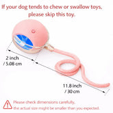 Mizusu Interactive Cat & Dog Teaser Toy with Two Additional Tails, Kitten Rolling Ball Toy, Pet Supplies, Dog & Cat Accessories Cute Dog Toys