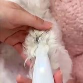 Rechargeable Pet Hair Trimmer Kit, Pet Paw Trimmer, Cordless Quiet Dog Trimmer for Grooming with LED Light, Small Dog Grooming Clippers for Dogs & Cats, Pet Grooming Tool,Waterproof, Low Noise Pet Shaver,